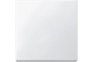 Merten 434119 Wippe System M polarweiß