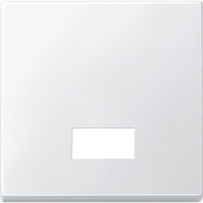 Merten 434819 Wippe mit rechteckigem Symbolfenster System M polarweiß