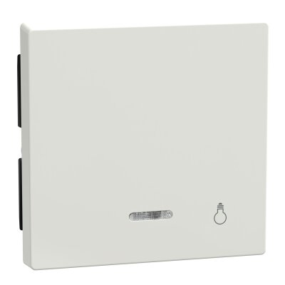 Merten 435919 Wippe mit Kontrollfenster und Aufdruck Licht System M