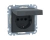 Merten MEG2310-0414 SCHUKO-Steckdose mit Klappdeckel System M anthrazit