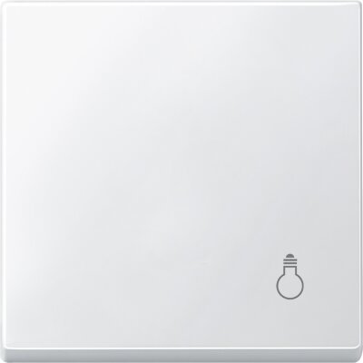 Merten MEG3302-0419 Wippe mit Kennzeichnung Licht System M polarweiß