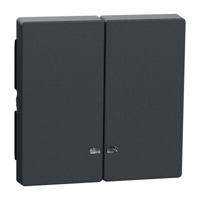 Merten MEG3420-0414 Doppelwippe mit Kontrollfenster System M anthrazit