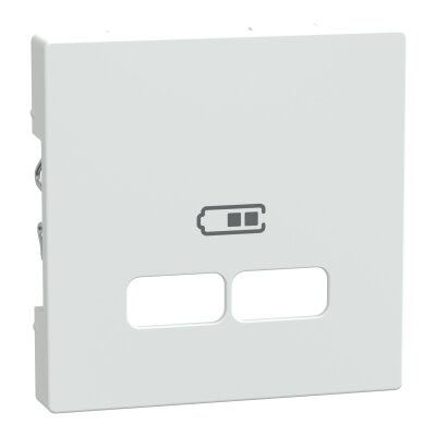 Merten MEG4367-0319 Zentralplatte für USB Ladestation-Einsatz System M