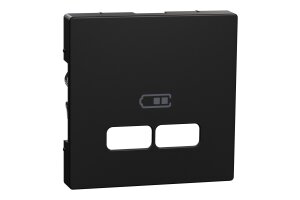 Merten MEG4367-0403 Zentralplatte für USB...